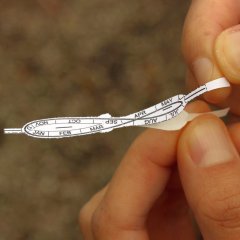 analemma peel off backing