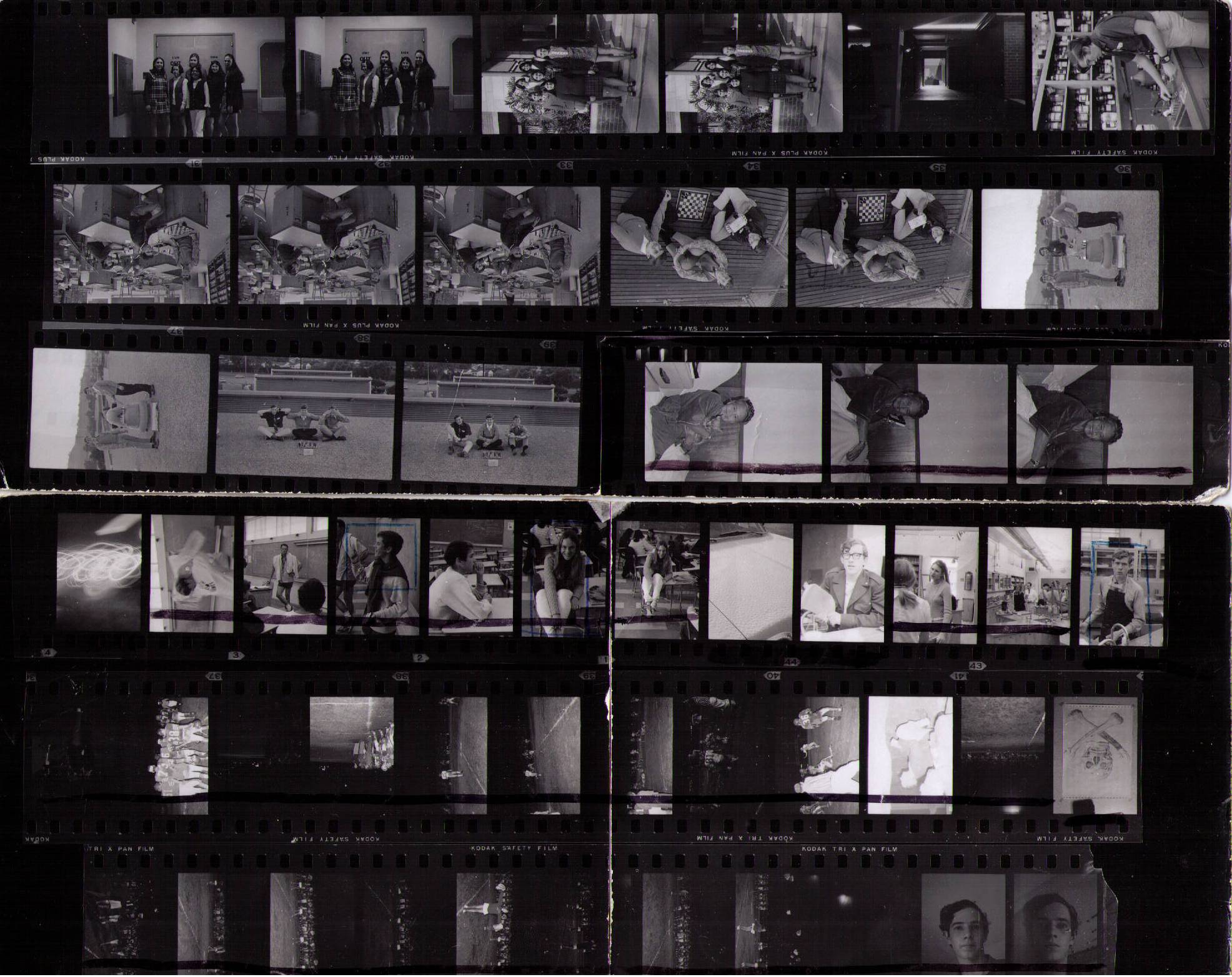 big picture
