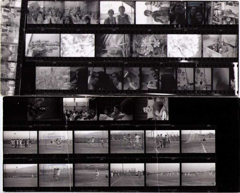pictures