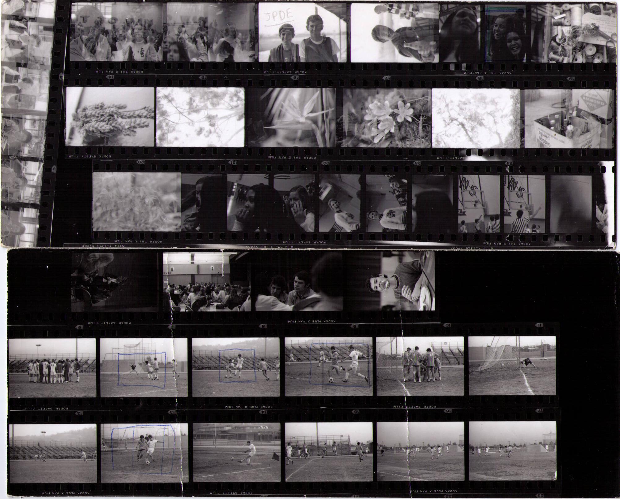 big picture