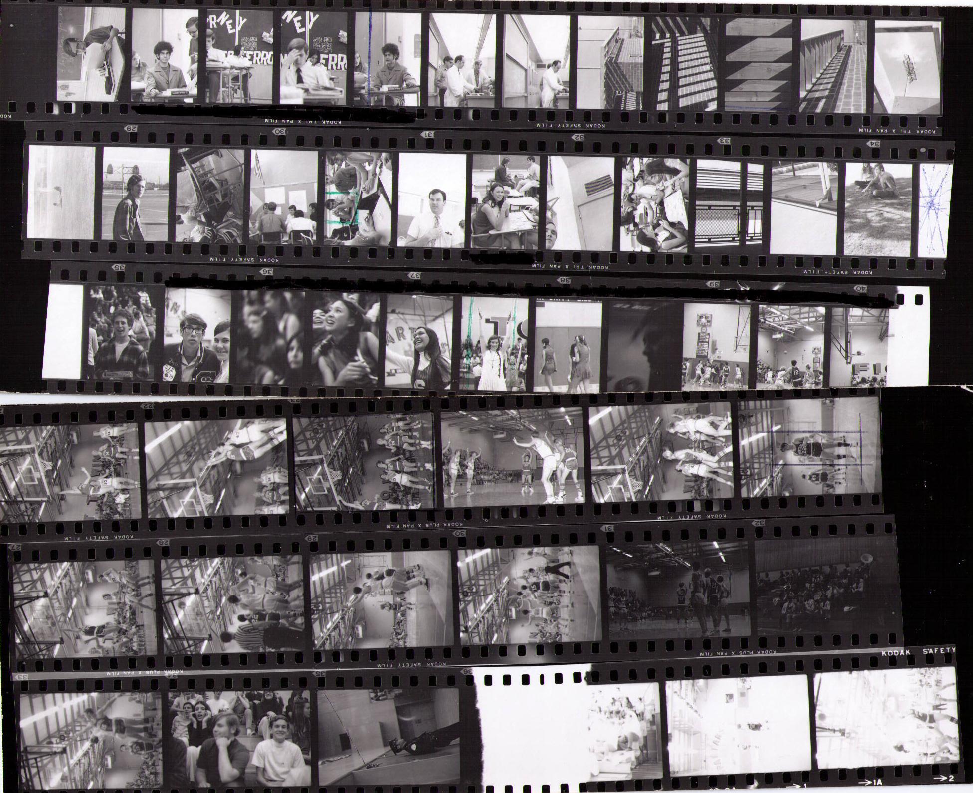 big picture