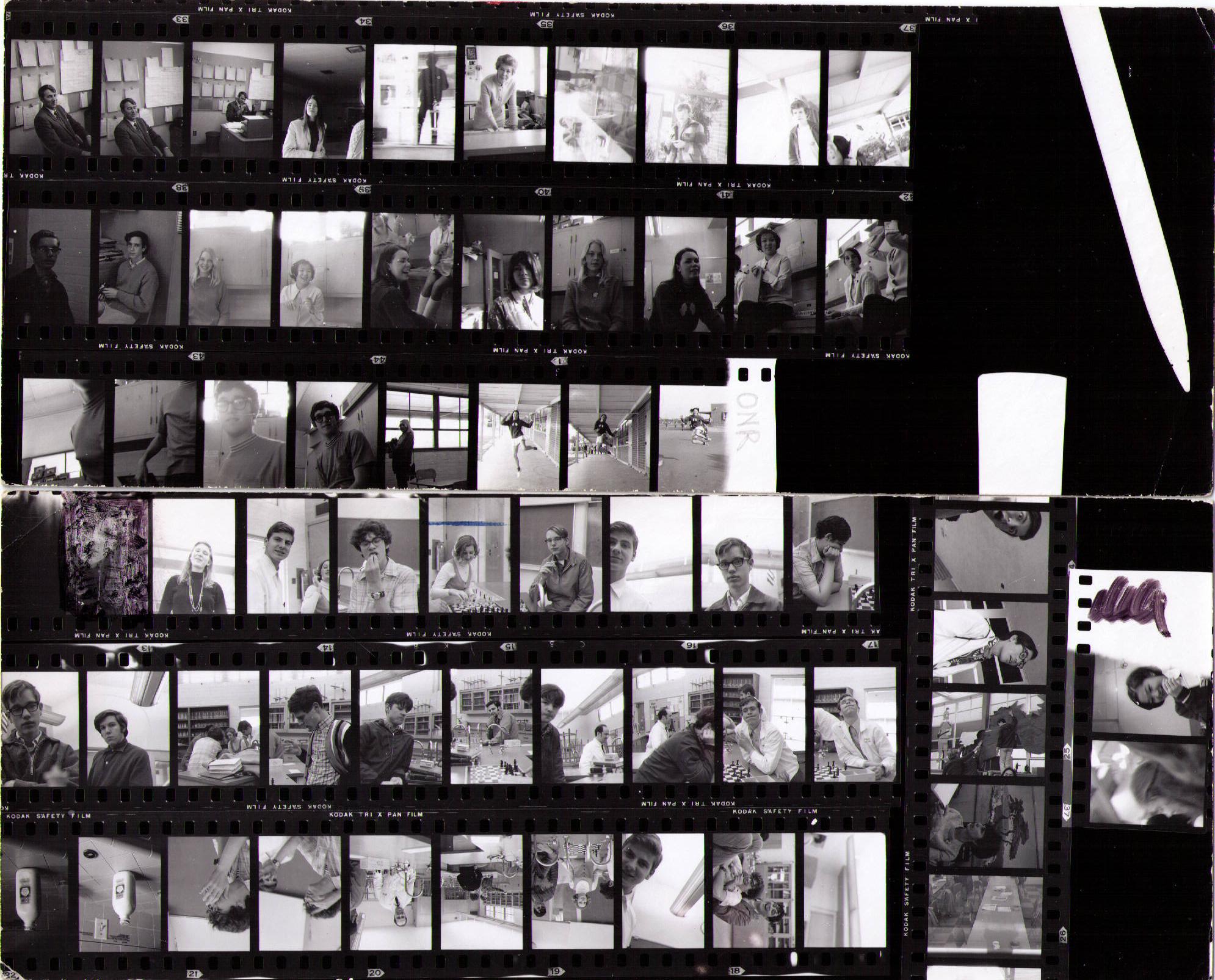 big picture