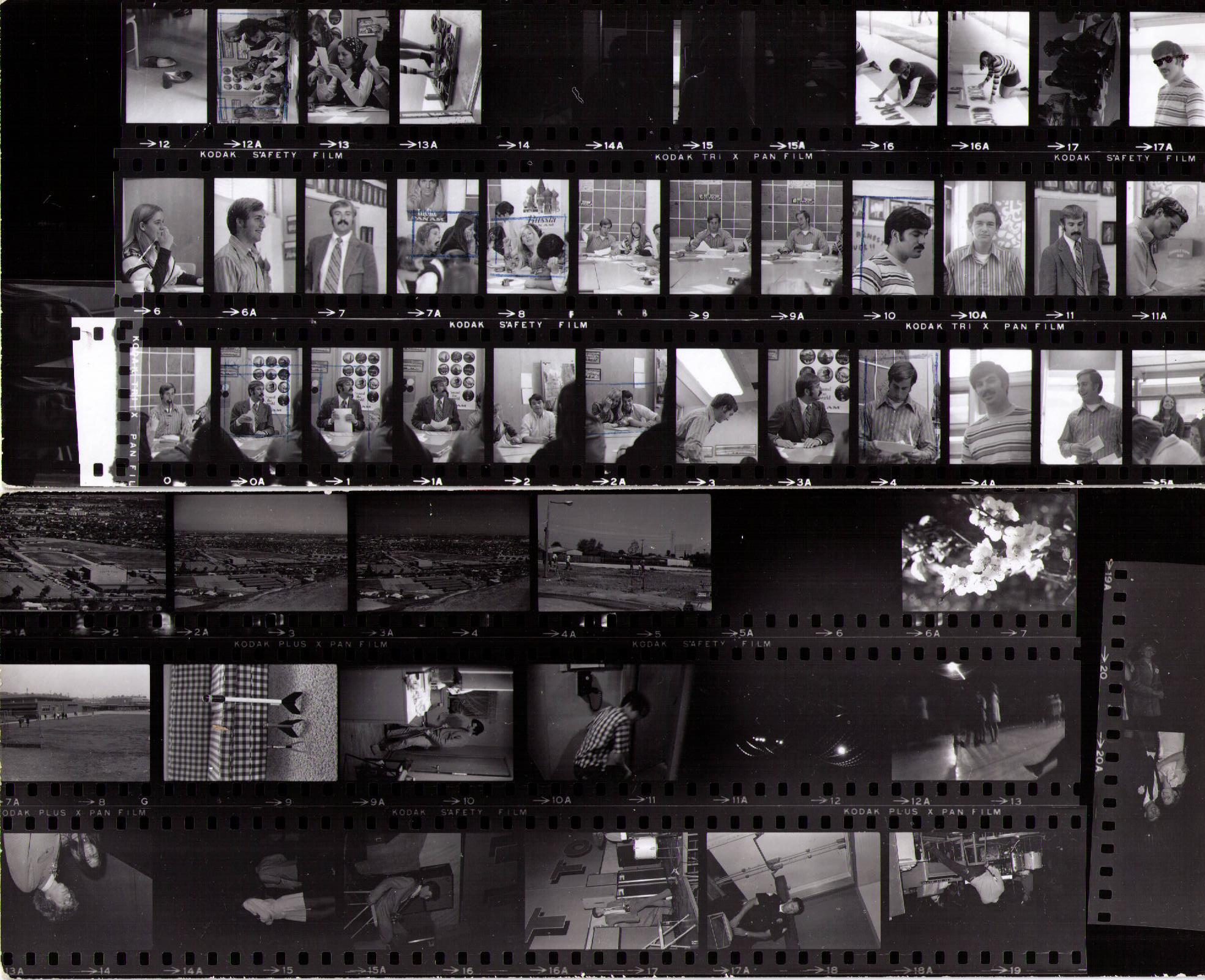 big picture