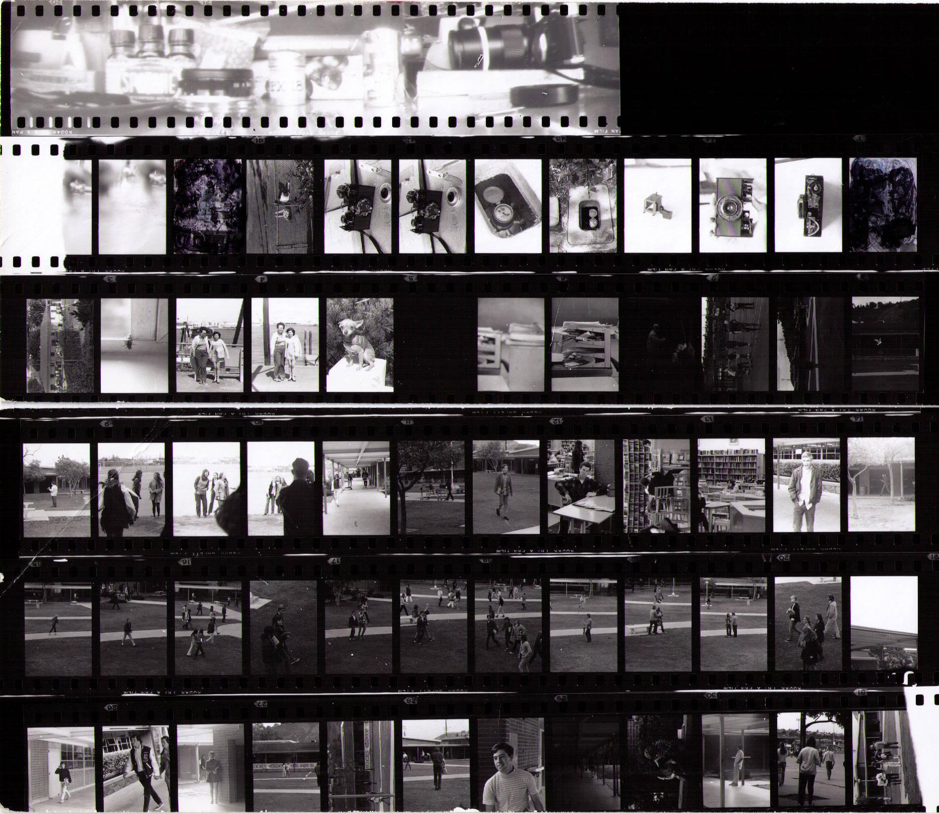 big picture