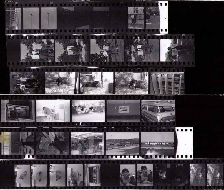 pictures