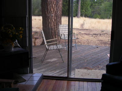 View out back door
