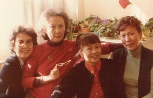 Fei sisters 1980s